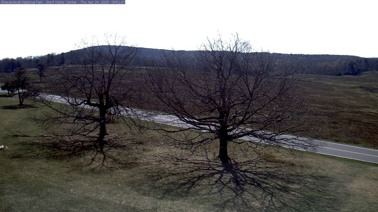 bigmeadows/2 / Big Meadows webcam 