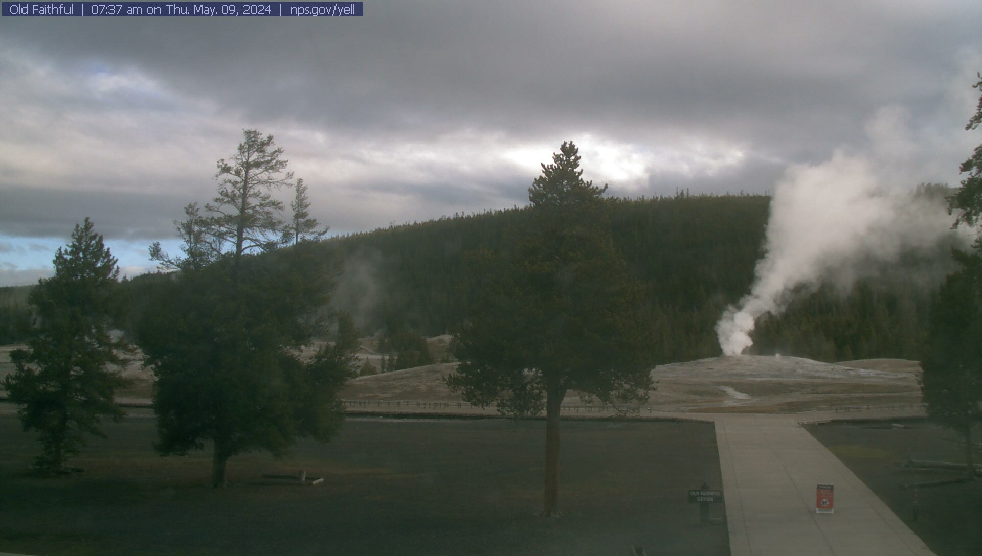 Current view of Old Faithful from the Old Faithful Visitor Education Center