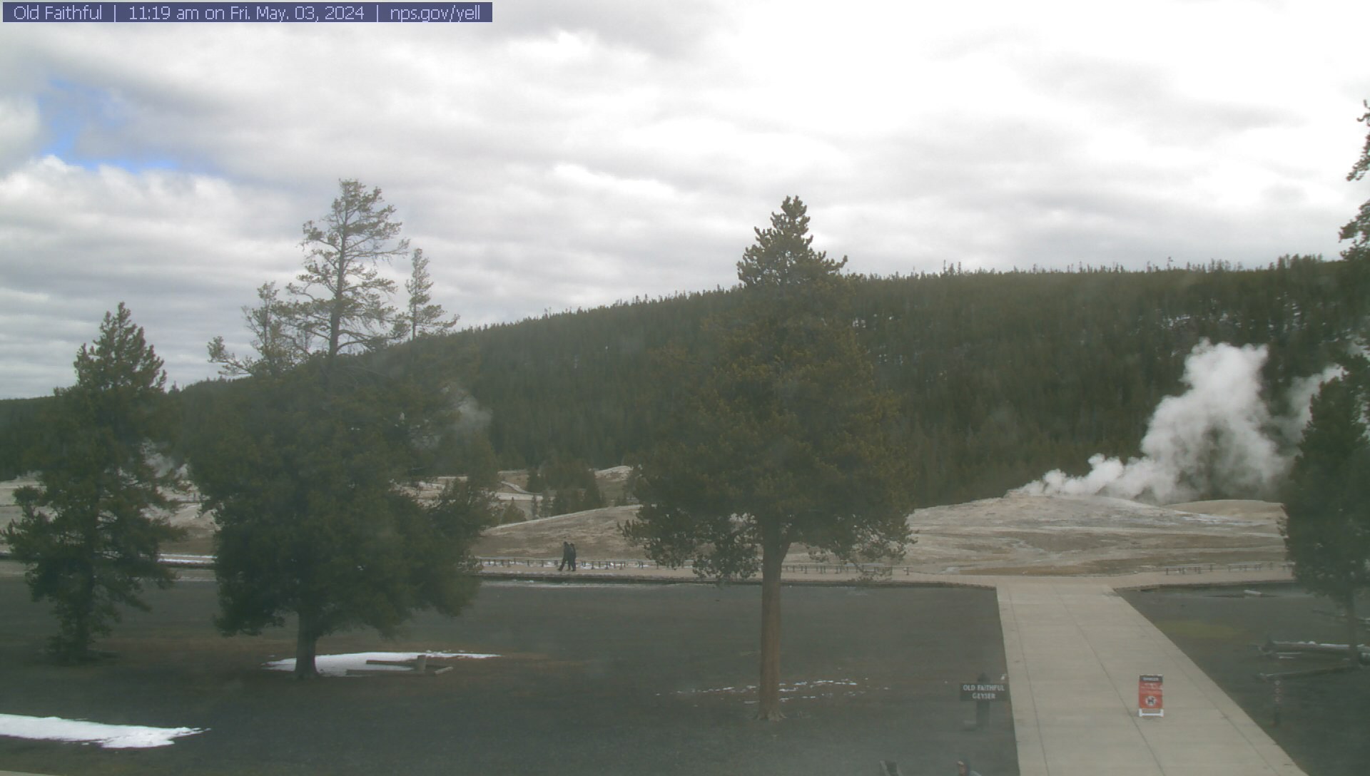 Old Faithful Webcam -- Yellowstone National Park webcams