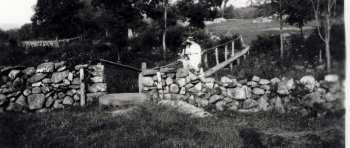 Historic Woodland Area (Bridge)