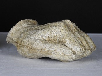 A plaster cast of hand.
