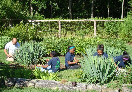 Volunteers Help Maintain and Preserve the Historic Secret Garden