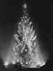 1927 National Christmas Tree (Library of Congress Prints and Photographs Division)