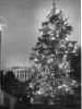 1948 National Christmas Tree (Library of Congress Prints & Photographs Division)