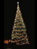 1967 National Christmas Tree (Photo by Aldon Nielson)