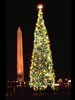 1968 National Christmas Tree (Photo by Aldon Nielson)