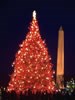1971 National Christmas Tree (Photo by Aldon Nielson)
