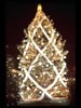 1975 National Christmas Tree (Photo by Aldon Nielson)