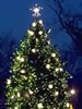 1977 National Christmas Tree (Photo by Aldon Nielson)
