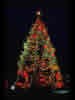 1978 National Christmas Tree (Photo by Aldon Nielson)