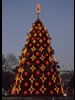 1985 National Christmas Tree (Photo by Aldon Nielson)