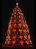 1995 National Christmas Tree (Photo by Aldon Nielson)