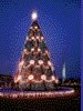 1997 National Christmas Tree