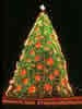 1998 National Christmas Tree (NPS Photo)