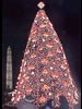 1999 National Christmas Tree