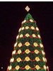 2002 National Christmas Tree (Photo by Peter N.  Moreno)