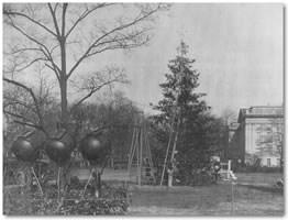 1927 National Christmas Tree