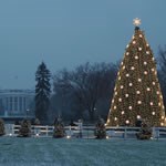 2005 National Christmas Tree