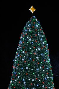 Christmas tree decorated with a cascade of white, blue, green, and red lights with a gold colored four point star as the topper