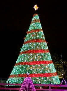 Christmas tree decorated with green and white cascades of lights and a red lights creating a ribbon-like spiral down the tree; topped with a four point golden color star
