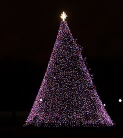 2020 national christmas tree cheap