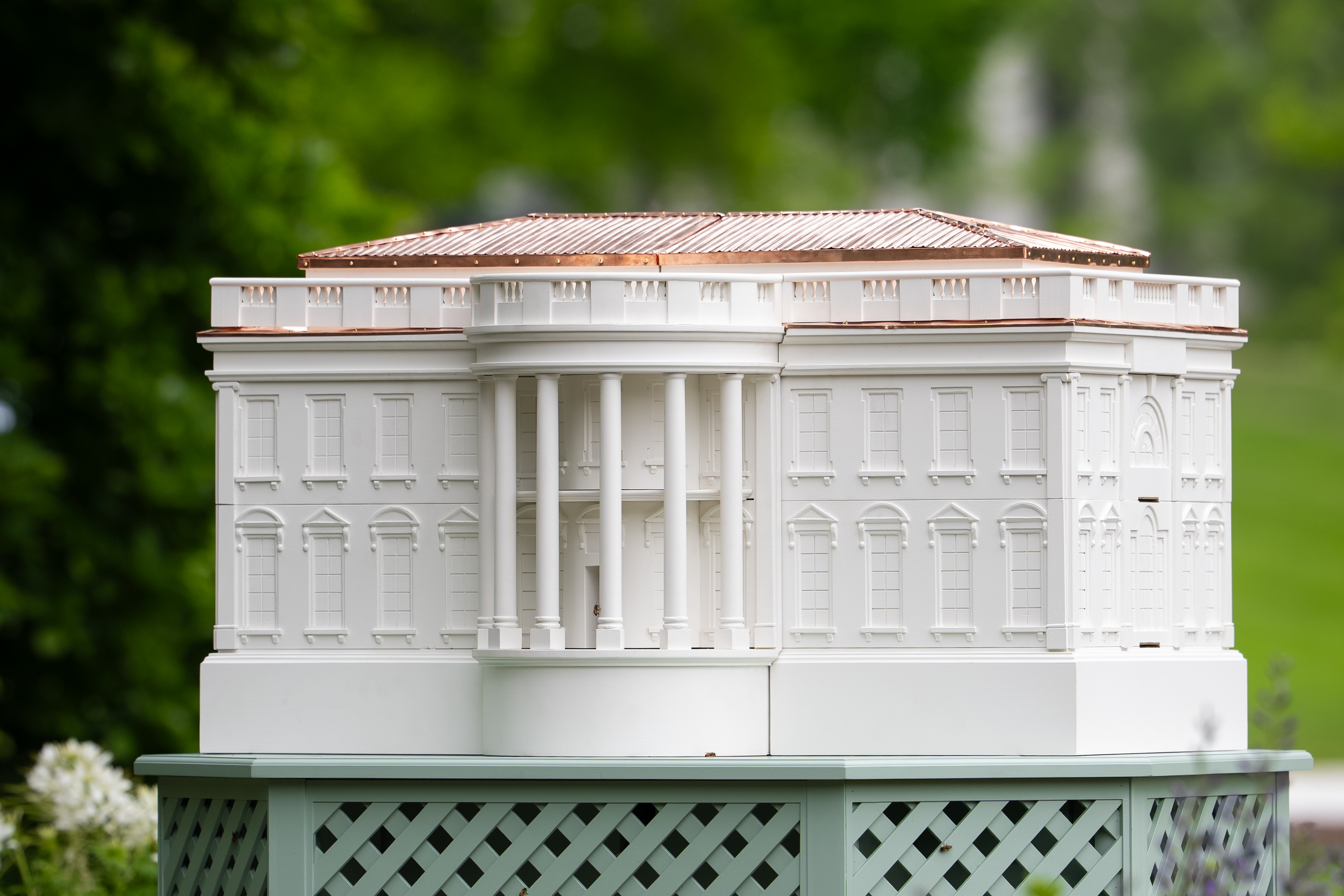 Close-up view of the White House-shaped beehive in a garden