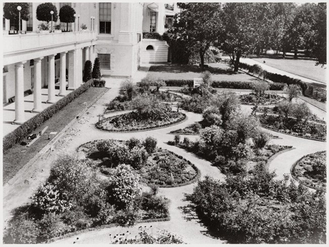 Black and white view of a colonial-style garden, with hedges, flowers, and meandering pathways