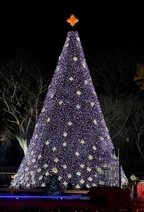 2009-2016 National Christmas Trees - The White House and President's ...