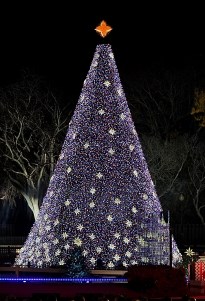 Christmas Tree and the White House Postage Stamp — Little Postage House