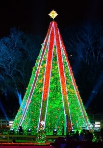 Christmas Tree decorated in green and red LED lights with a gold colored four point star on top