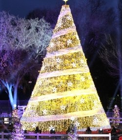Christmas tree decorated with white and yellowish gold lights