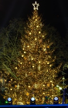 National Christmas Tree with lights and decorations at night