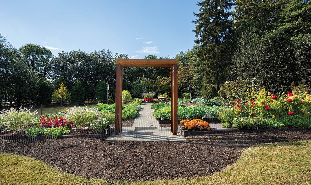 White House Kitchen Garden in 2021