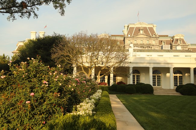 A line of bushes and flowers leads toward the Oval Office.