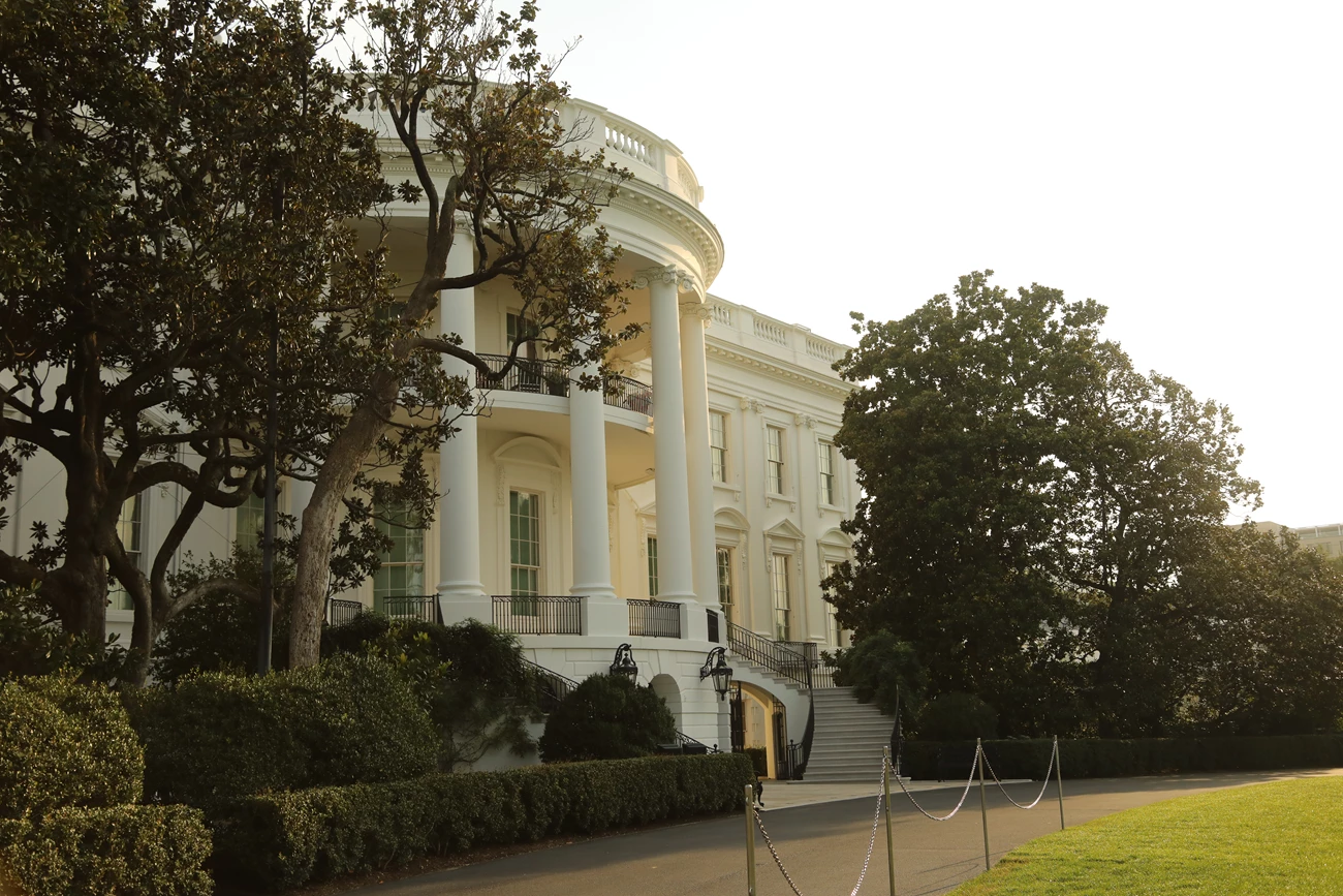 WHHO_Commemorative Trees_Southern Magnolia_Andrew Jackson_20230821_KGraczyk_01 A spindly, magnolia tree next to the White House