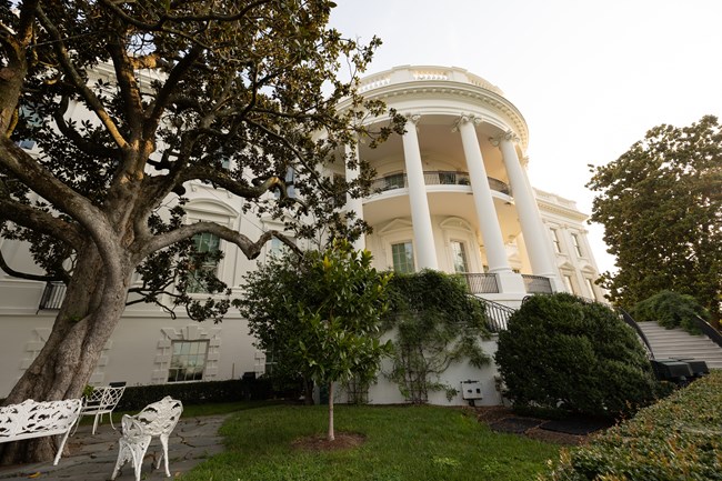 Trump is back -- on the Bidens' Christmas tree at the White House