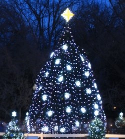 Christmas Tree decorated with whitish blue lights and stars with a gold colored star on top