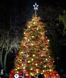 A Christmas tree decorated with lit red and white ornaments.