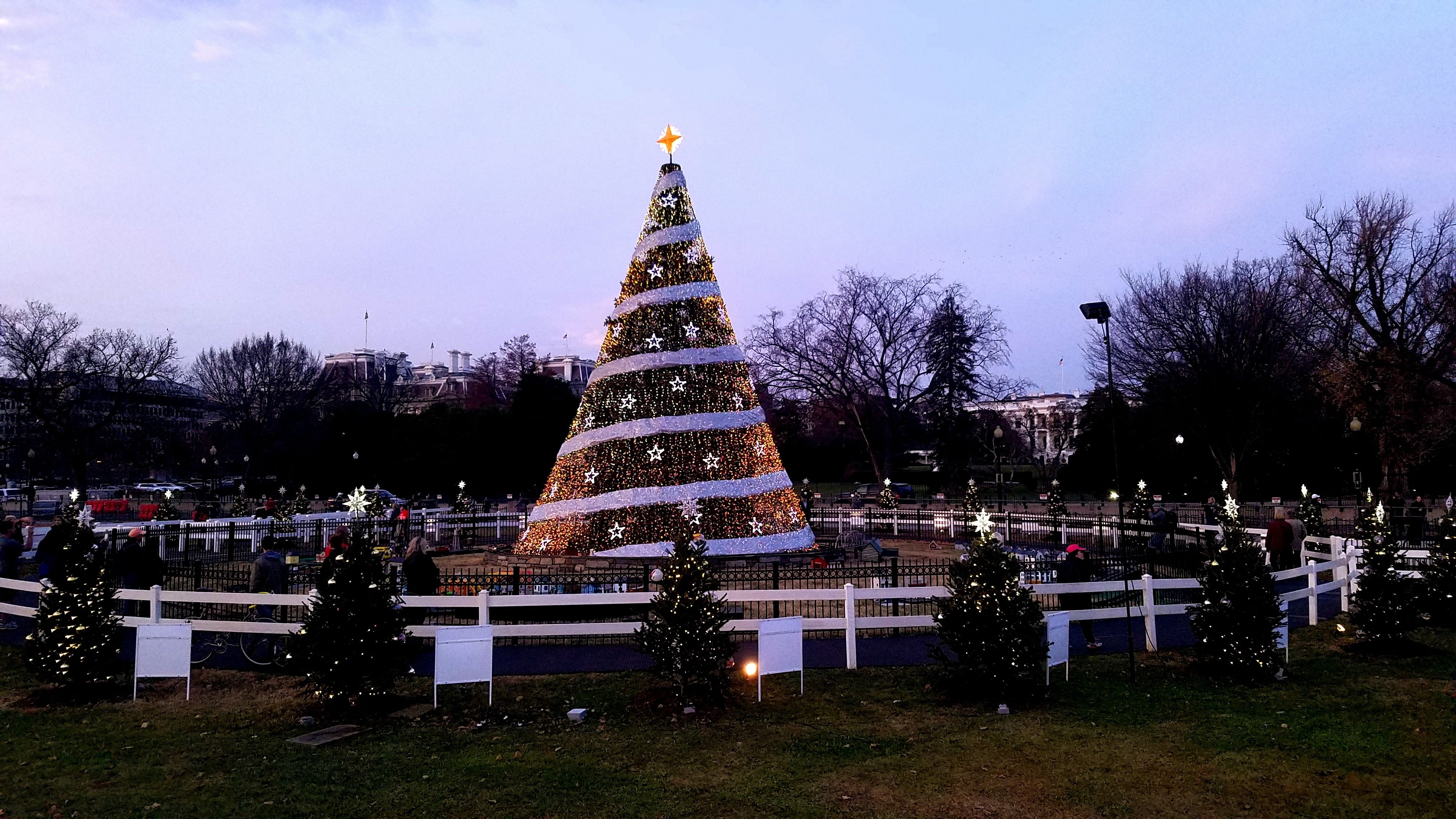 The 2017 National Christmas Tree and surrounding state, district, and territory trees.