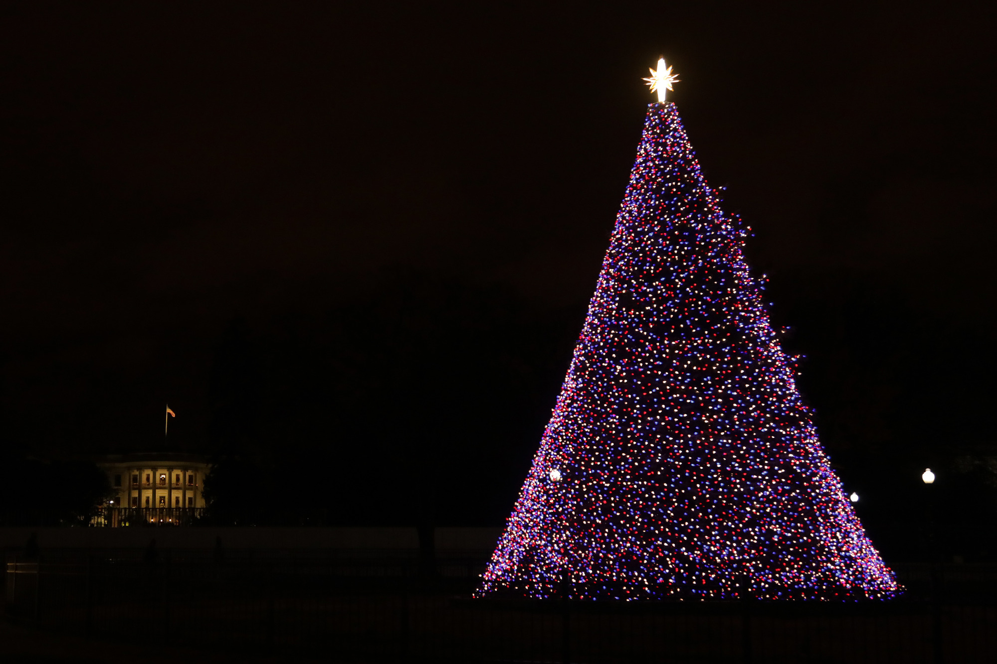 Christmas tree shop lights 2020