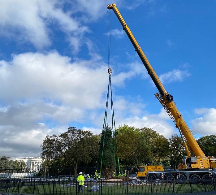 National Christmas Tree planting 2021 The new National Christmas Tree being planted in President's Park this morning via crane. The tree branches were bound for transport and will be unbound over the next few days.