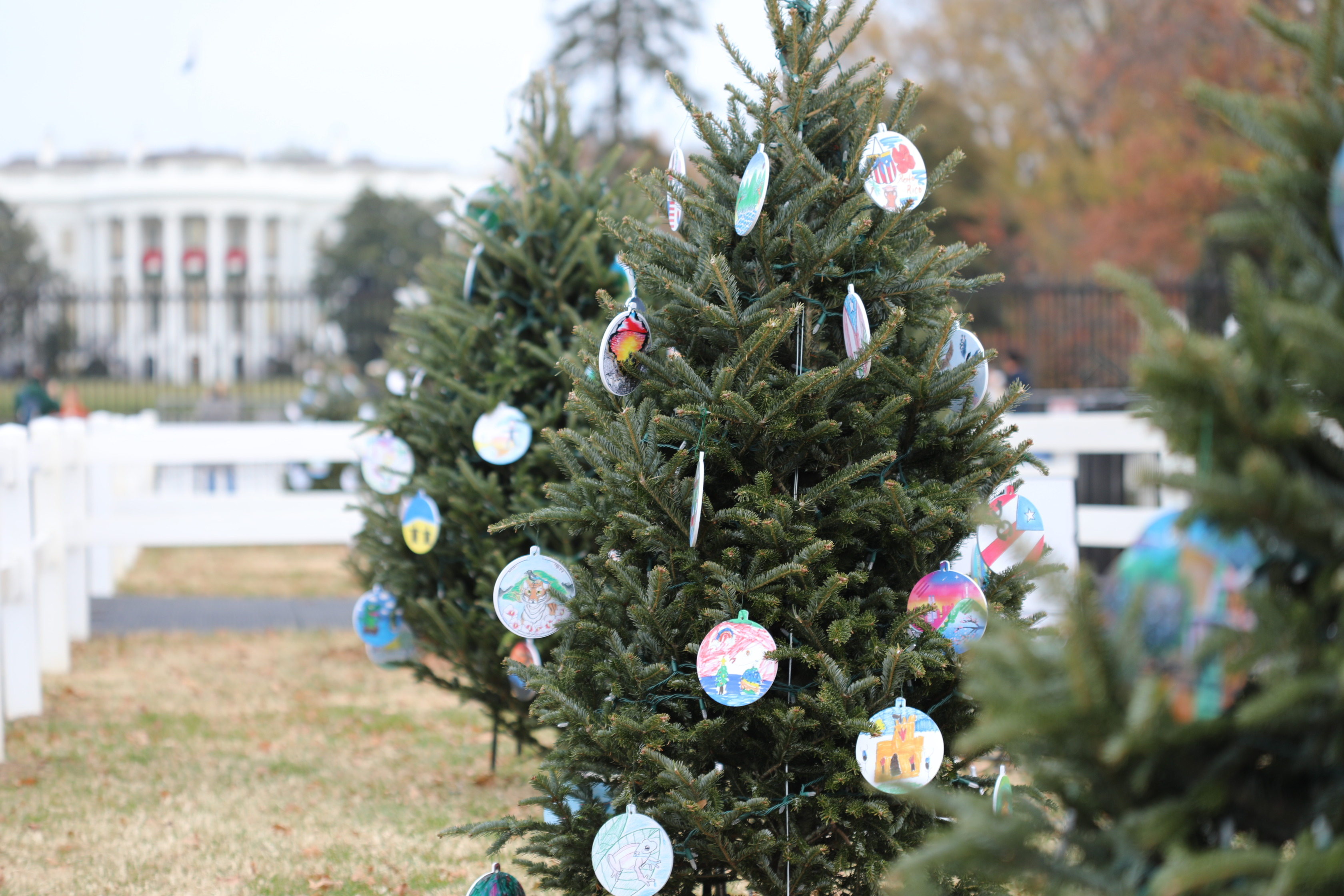 State trees decorated with handmade ornaments from the 2021 America Celebrates ornament program.