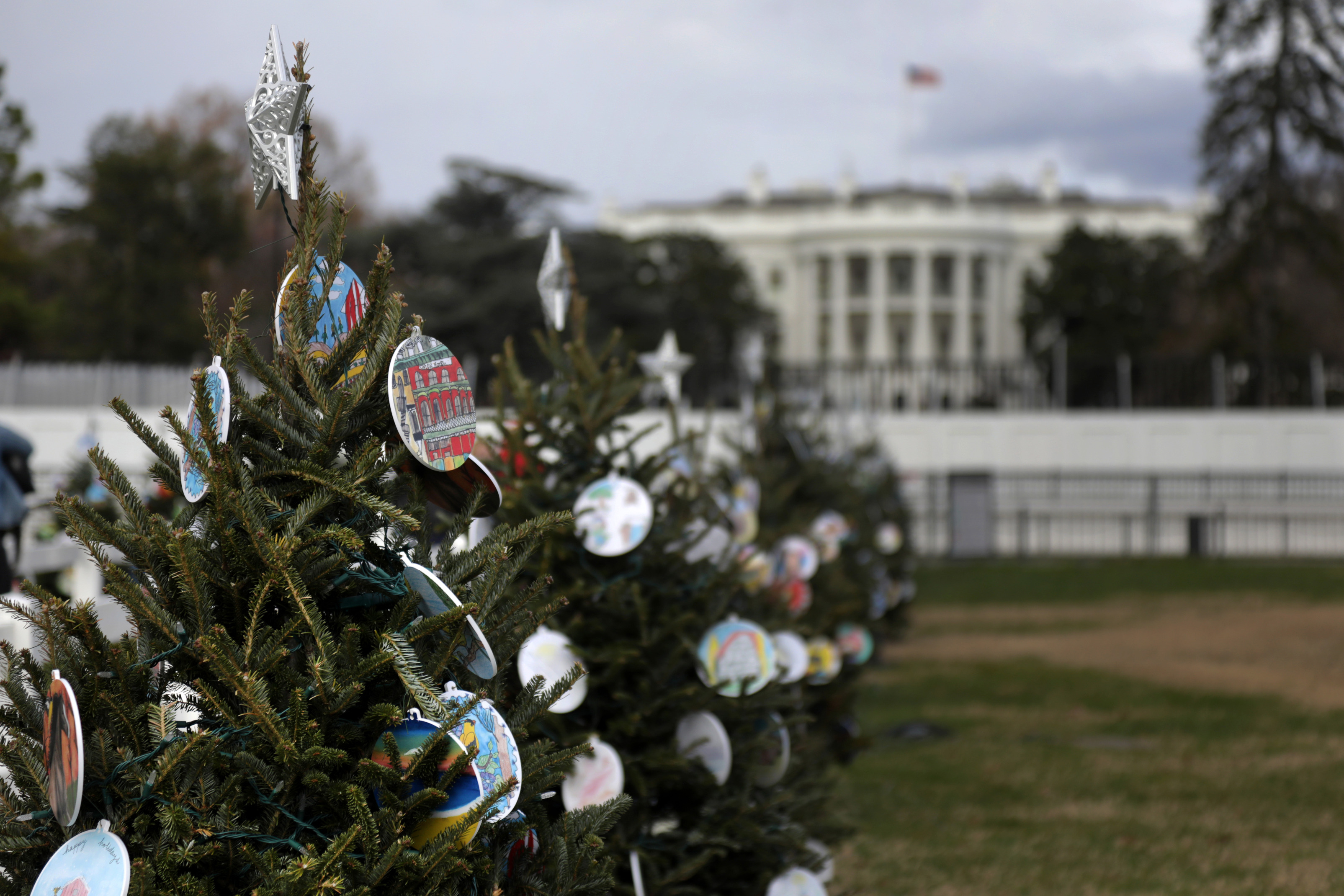 State trees decorated with student-made ornaments in 2020.