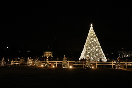 The National Christmas Tree with the White House in the background.