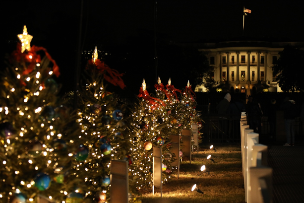 Individual state and territory trees illuminated during the 2019 National Christmas Tree celebration in President’s Park.