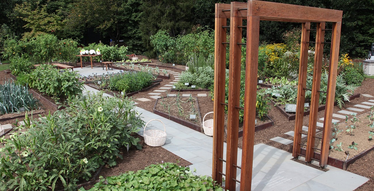 A vegetable garden with a wood trellis.