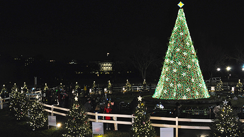 lighting of the national christmas tree 2020 National Christmas Tree President S Park White House U S National Park Service lighting of the national christmas tree 2020