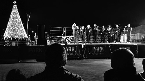 Audience watches musical performers at the National Christmas Tree