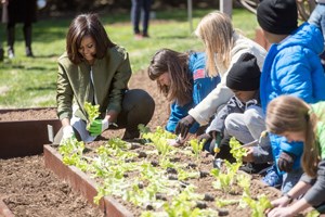 First Lady Michelle Obama kneels and works in the garden with several other people.