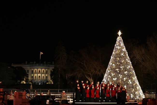 National Christmas Tree - President's Park (White House) (U.S. National Park Service)